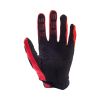 PAWTECTOR GLOVE [BLK/RD]